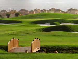 Hacienda Del Alamo Golf