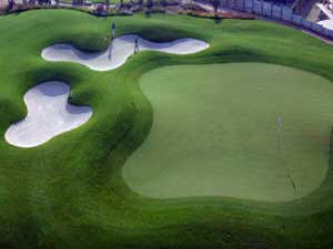 Desert Springs Green