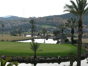 Valle Del Este Green