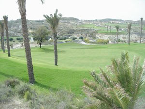 Valle Del Este Golf