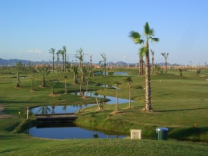 La Serena Golf